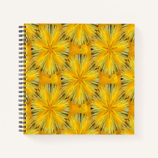 Carnet Lemony.... (Devant)