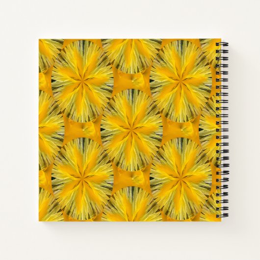 Carnet Lemony.... (Dos)