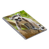 Carnet Lémurien à anneaux bébé (Côté Droit)