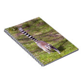 Carnet Lémurien à queue cerclée marchant sur l'herbe (Côté Droit)