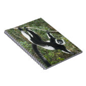 Carnet Lémurien vari noir et blanc, (Varecia (Côté Droit)