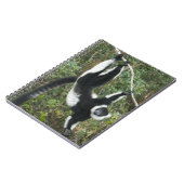 Carnet Lémurien vari noir et blanc, (Varecia (Côté gauche)