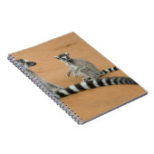 Carnet Lémuriens à queue d'anneau (lémurienne), Berenty (Côté Droit)