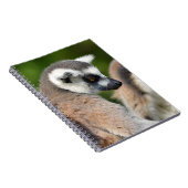 Carnet Lémuriens à queue ronde (Côté Droit)