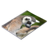 Carnet Lémuriens à queue ronde (Côté gauche)