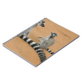 Carnet Lémurs à queue annelée, (Lemur catta), Berenty (Côté gauche)