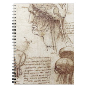 Carnet Leonardo da Vinci - physiologie de cerveau