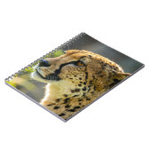 Carnet leopard (Côté gauche)