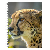 Carnet leopard (Devant)