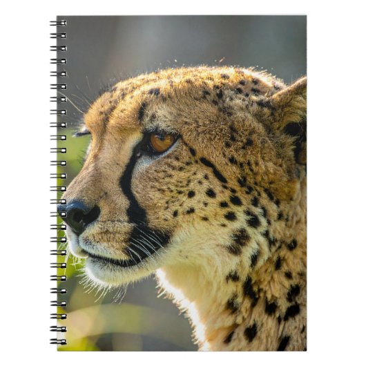 Carnet leopard (Devant)