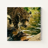Carnet Leopard Crossing a Stream Photographie (Dos)