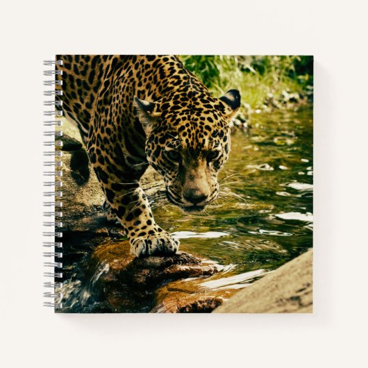 Carnet Leopard Crossing a Stream Photographie (Devant)