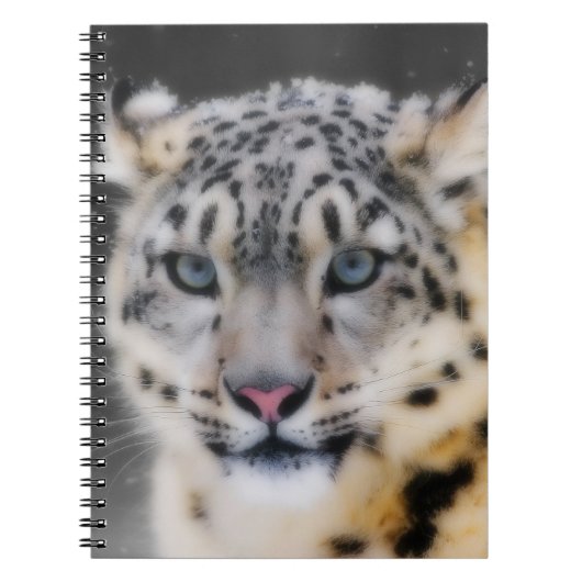 Carnet Léopard de neige (Devant)