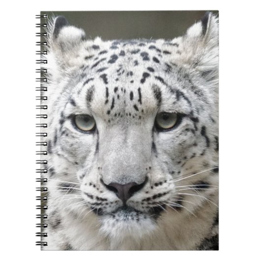 Carnet Léopard de neige (Devant)