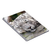 Carnet Léopard de neige - beau ! (Côté Droit)