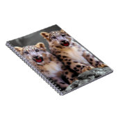 Carnet Léopard de neige CUB (Côté Droit)