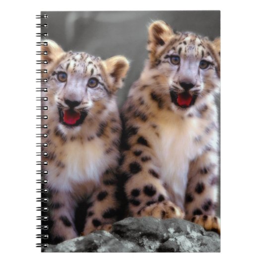 Carnet Léopard de neige CUB (Devant)