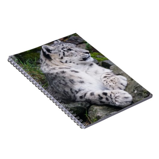 Carnet Léopard de neige refroidi (Côté Droit)