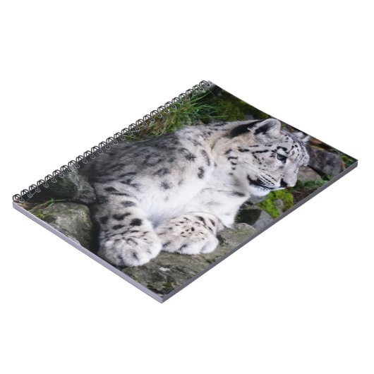 Carnet Léopard de neige refroidi (Côté gauche)