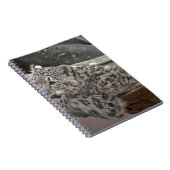 Carnet Léopard des neiges (Côté Droit)
