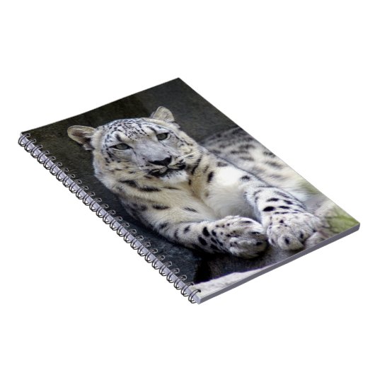 Carnet léopard des neiges 27 (Côté Droit)