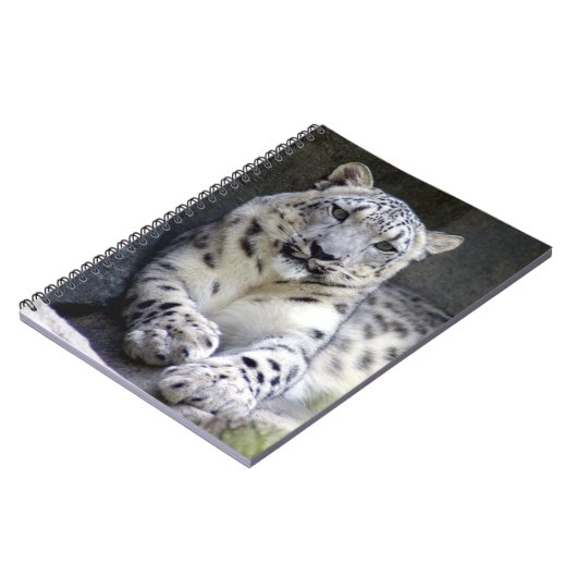 Carnet léopard des neiges 27 (Côté gauche)