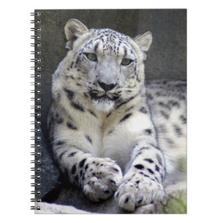 Carnet léopard des neiges 27