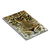 Carnet Léopard féroce (Côté Droit)
