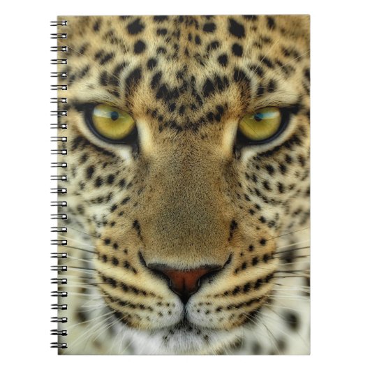 Carnet Léopard féroce (Devant)