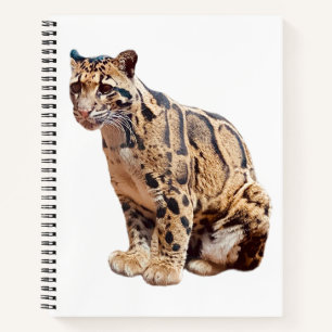 Carnet léopard nébuleux photographie jungle grand félin a