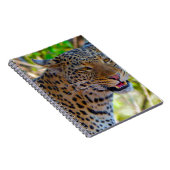 Carnet Leopard tacheté (Côté Droit)