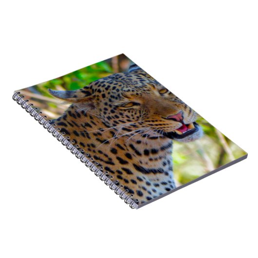 Carnet Leopard tacheté (Côté Droit)