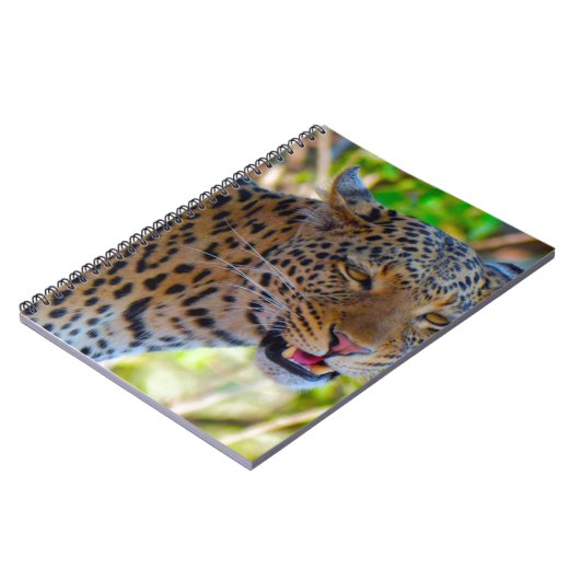 Carnet Leopard tacheté (Côté gauche)