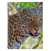 Carnet Leopard tacheté (Devant)