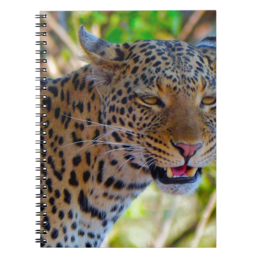 Carnet Leopard tacheté (Devant)