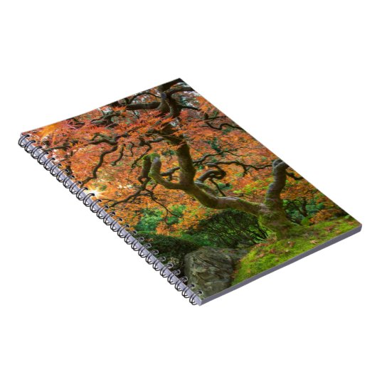 Carnet L'Érable Dans Les Jardins Japonais En Automne (Côté Droit)