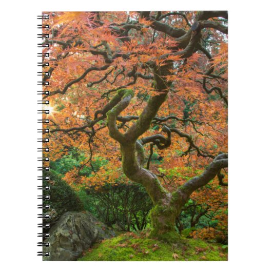 Carnet L'Érable Dans Les Jardins Japonais En Automne (Devant)