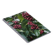 Carnet Les amateurs de café Café, (Côté Droit)