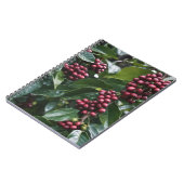 Carnet Les amateurs de café Café, (Côté gauche)