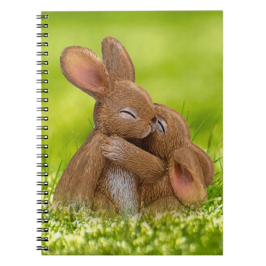 Carnet Les amateurs de lapins de printemps (Devant)