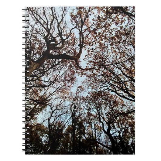 Carnet Les arbres d'automne (Devant)