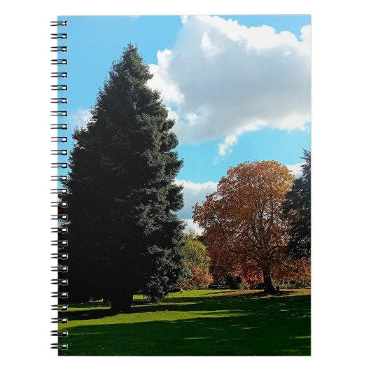 Carnet Les arbres d'automne (Devant)