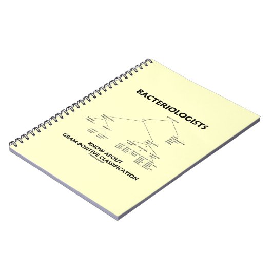 Carnet Les bactériologistes connaissent la classification (Côté gauche)