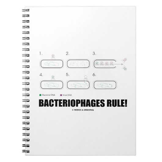 Carnet Les bactériophages sont la règle ! (ADN de virus b (Devant)