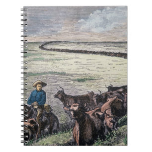 Carnet Les bétail de Longhorn conduisent par le Texas à