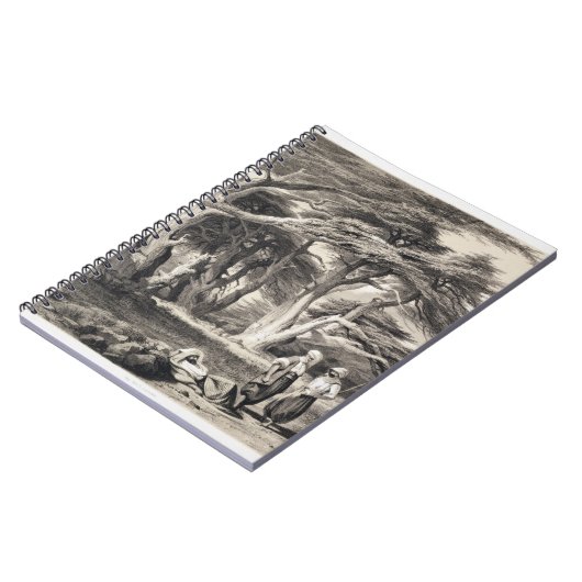 Carnet Les cèdres du Liban, gravés par Freeman (sépia (Côté gauche)