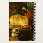 Carnet Les chatons en jeu (Verso)