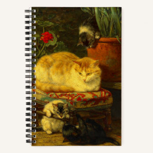 Carnet Les chatons en jeu