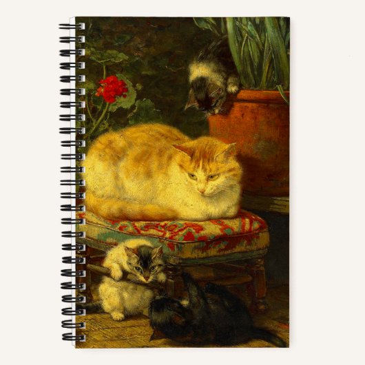 Carnet Les chatons en jeu (Recto)