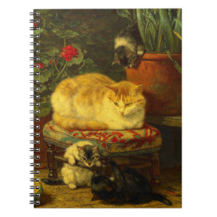 Carnet Les chatons en jeu